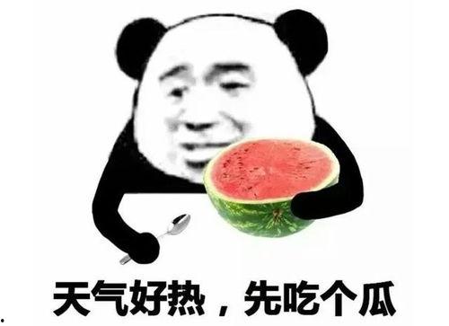 吃瓜表情说明什么,揭秘网络社交中的窥探与娱乐