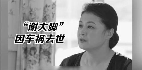 娱乐圈吃瓜警察小说,吃瓜警察的甜蜜侦查之旅